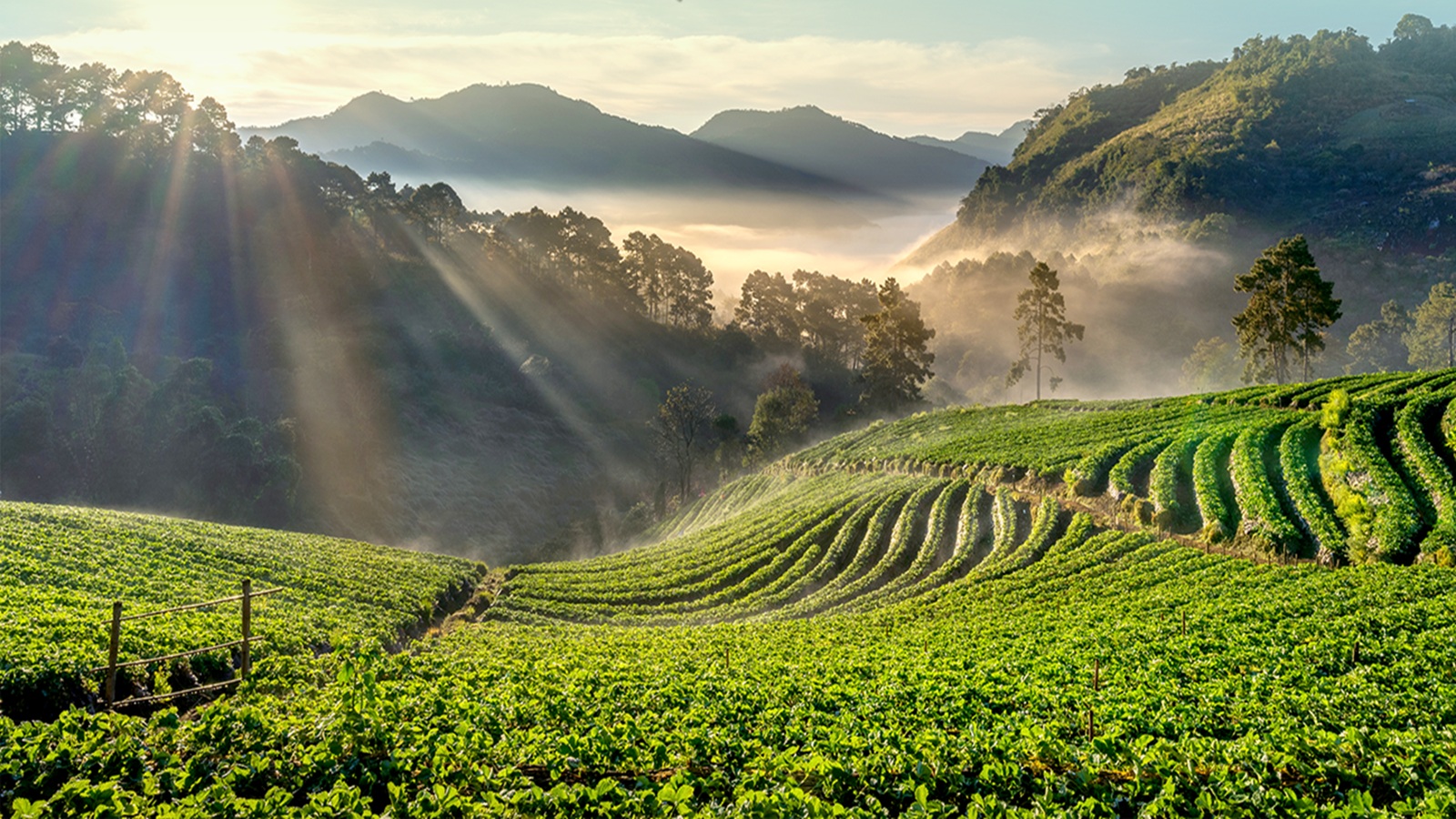 duc-phu-doi-che_1