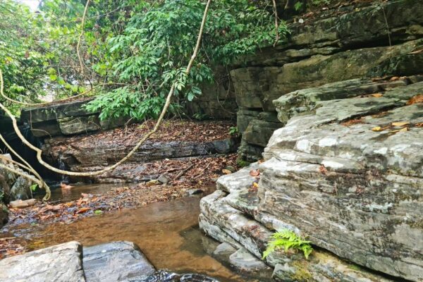 duc-phu-suoi-na-nghe